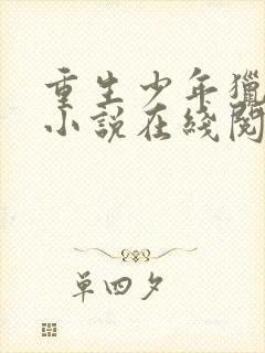 重生少年猎美 小说在线阅读