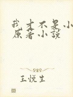 我才不是小可怜原著小说