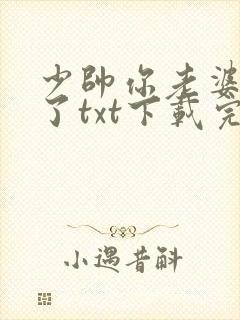 少帅你老婆又跑了txt下载完整版