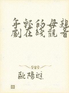 年轻的母亲4韩剧在线观看