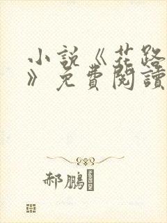 小说《花路璀璨》免费阅读无弹窗封面