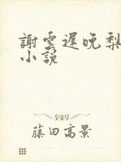 谢云迟晚梨叶希小说