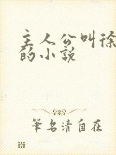 主人公叫徐什么的小说