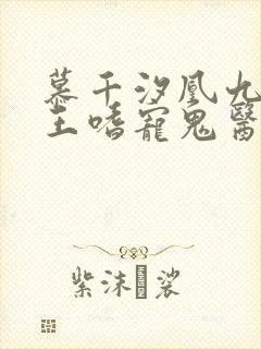 慕千汐凰九夜邪王嗜宠鬼医狂妃免费阅读