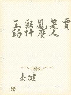 王熙凤是贾宝玉的什么人