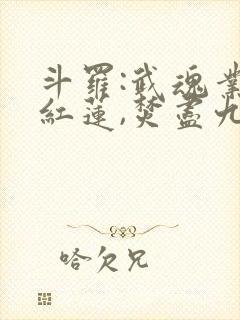 斗罗:武魂业火红莲,焚尽九天