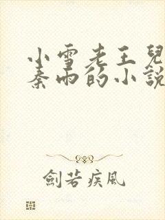 小雪老王儿媳妇秦雨的小说封面