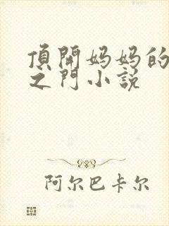 顶开妈妈的生命之门小说