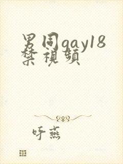 男同gay18禁视频
