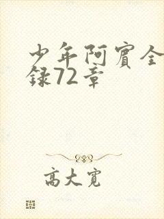 少年阿宾全文目录72章