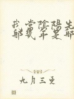 我当阴阳先生的那几年是哪一年写的