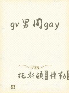gv男同gay封面