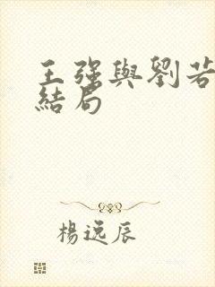 王强与刘若琳的结局