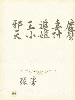 邪王追妻废材逆天小姐什么时候写的