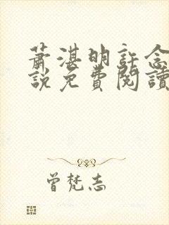 萧湛明许念薇小说免费阅读封面