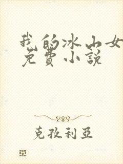 我的冰山女总裁免费小说