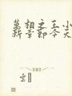 万相之王小说最新章节今天