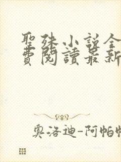 圣殊小说全文免费阅读最新章节