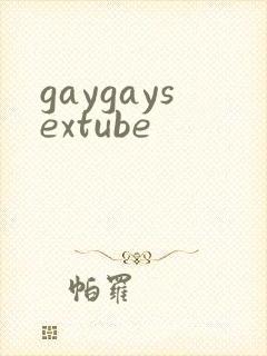 gaygaysextube