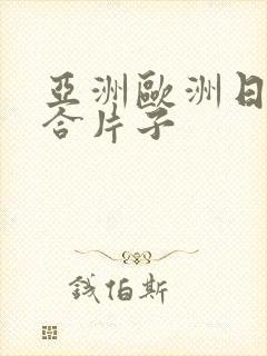 亚洲欧洲日韩综合片子封面