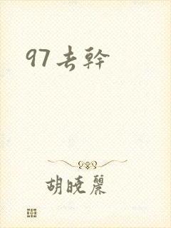 97去干封面