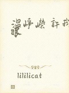 温峥嵘 许我耀眼封面