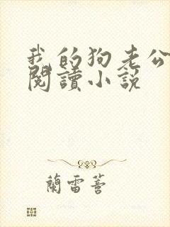 我的狗老公在线阅读小说