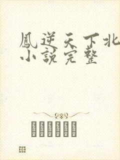 凤逆天下北月篇小说完整
