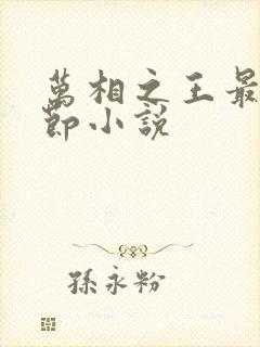 万相之王最新章节小说