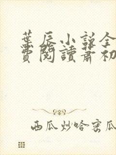 叶辰小说全文免费阅读萧初然