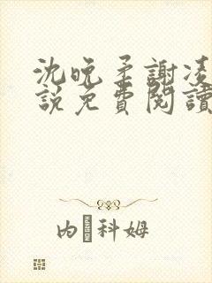 沈晚柔谢凌安小说免费阅读最新章节