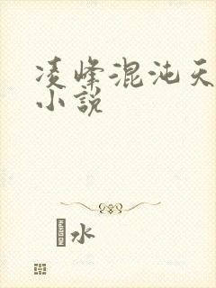 凌峰混沌天帝诀小说封面