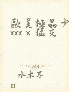 欧美极品少妇xxxxⅹ猛交