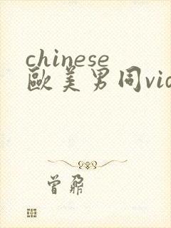 chinese欧美男同videos封面