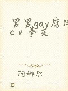 男男gay腐片cⅴ拳交