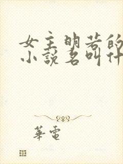 女主明若的穿越小说名叫什么