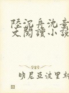 陆沉舟沈意欢全文阅读小说封面