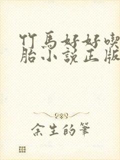 竹马好好吃双胞胎小说正版阅读