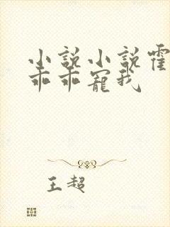 小说小说霍先生乖乖宠我