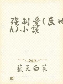 强制爱(巨肉高h)小说