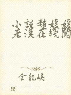 小说赵媛媛与王老汉在线阅读