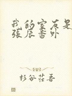 我的室友是直男张辰番外