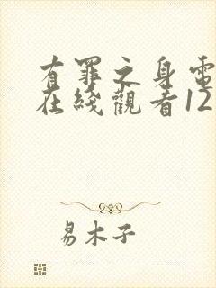 有罪之身电视剧在线观看12集