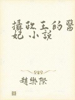 摄政王的医品王妃 小说