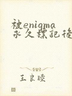 被enigma永久标记后笔趣阁