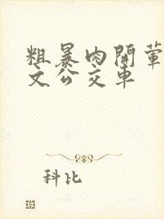 粗暴肉开荤高h文公交车