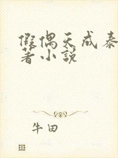 假偶天成泰剧原著小说