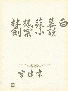 林枫苏慕白神霄剑宗小说