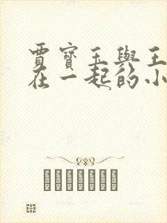 贾宝玉与王熙凤在一起的小说