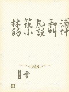 林筱凡和浦应辛的小说叫什么名字